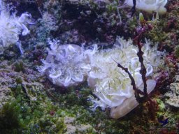 Haus des Meeres 4.02.2026